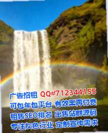 麒麟代妈数据公司